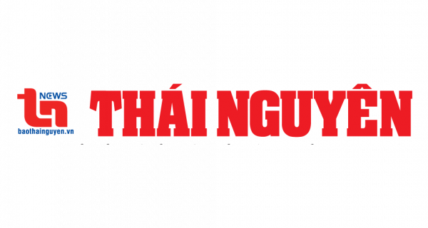 tn 600x320 1