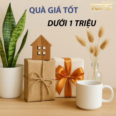 goi y qua tang gia tot doanh nghiep y nghia duoi 1 trieu dip le tet 2