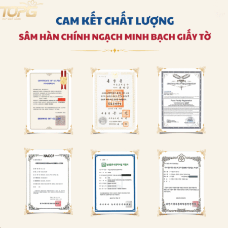 hop-qua-sam-han-quoc-dkg4