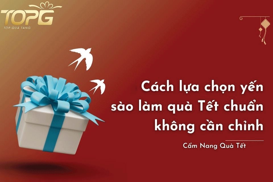 cach-chon-qua-yen-sao-phu-hop-tung-doi-tuong