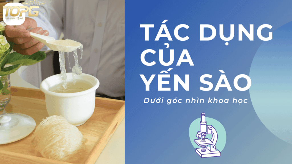 cong-dung-cua-yen-sao-goc-nhin-khoa-hoc-va-chuyen-gia-dinh-duong