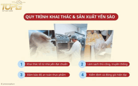 quy-trinh-khai-thac-va-che-bien-yen-sao-cao-cap