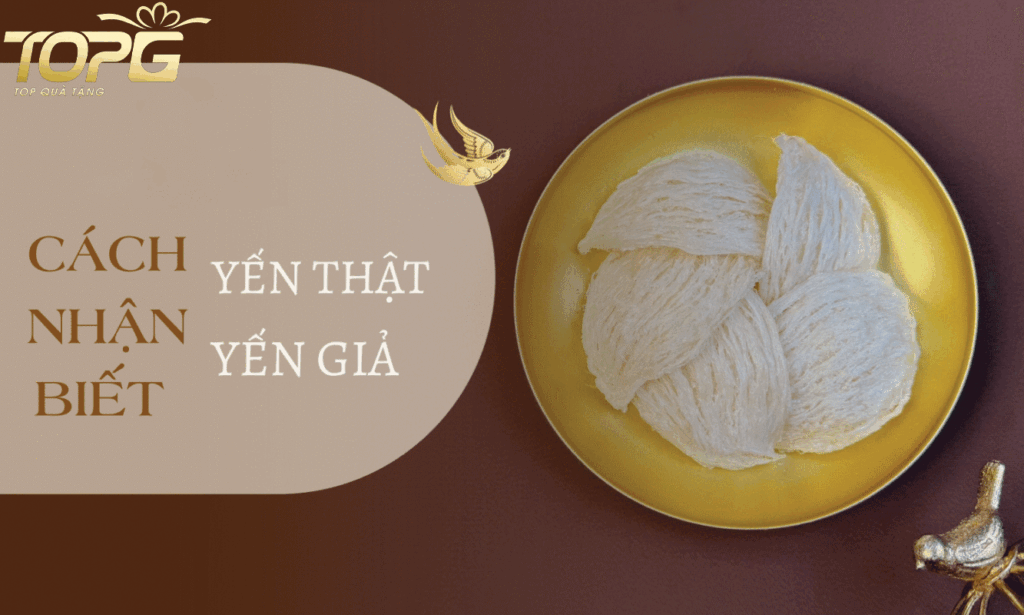 yen-sao-cao-cap-la-gi-phan-biet-yen-that-gia-chuan-chuyen-gia