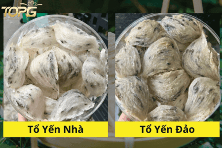 yen-sao-cao-cap-la-gi-phan-biet-yen-that-gia-chuan-chuyen-gia